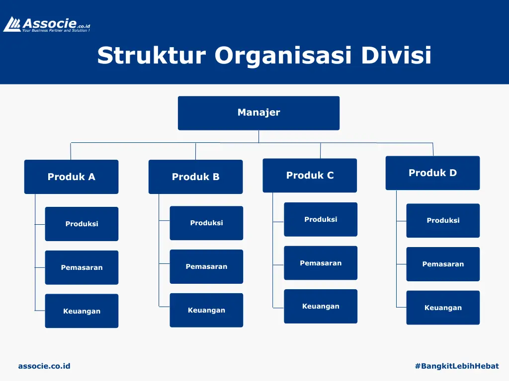 Contoh Struktur Organisasi Divisi