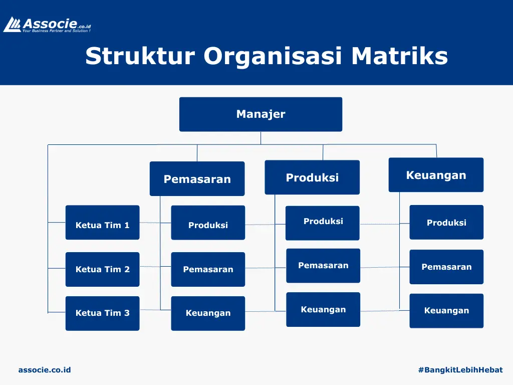 Contoh Struktur Organisasi Matriks